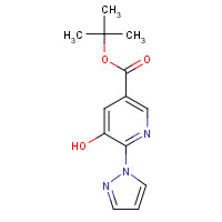 152559-30-3 tert-Butyl 3-hydroxy-1,4,6,7-tetrahydropyrazolo[4,3-c]-pyridine-5-carboxylate chemical structure