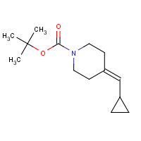 1241725-69-8 tert-Butyl 4-(cyclopropylmethylene)-piperidine-1-carboxylate chemical structure