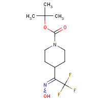 1313739-03-5 tert-Butyl 4-(2,2,2-Trifluoro-1-(hydroxyimino)-ethyl)piperidine-1-carboxylate chemical structure
