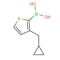 1025746-82-0 3-(Cyclopropylmethyl)thiophenylboronic acid chemical structure