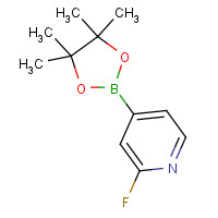 458532-86-0 2-Fluoropyridine-4-boronic acid pinacol ester chemical structure