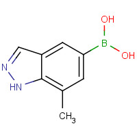 1245816-07-2 7-Methyl-1H-indazole-5-boronic acid chemical structure