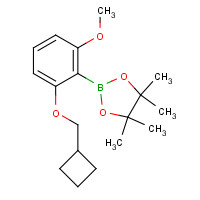1204580-86-8 2-Cyclobutylmethoxy-6-methoxyphenylboronic acid pinacol ester chemical structure