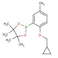 1185836-99-0 2-Cyclopropylmethoxy-5-methylphenylboronic acid pinacol ester chemical structure