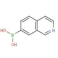 1092790-21-0 Isoquinoline-7-boronic acid chemical structure