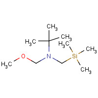 455954-96-8 N-(Methoxymethyl)-2-methyl-N-[(trimethylsilyl)-methyl]-2-propanamine chemical structure