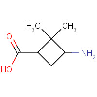783260-98-0 3-Amino-2,2-dimethylcyclobutanecarboxylic acid chemical structure