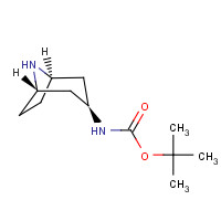 132234-68-5 Exo-3-(Boc-amino)-8-azabicyclo[3.2.1]octane chemical structure