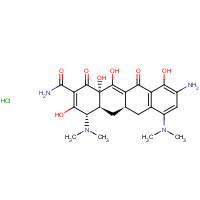 149934-21-4 (4S,4aS,5aR,12aS)-9-Amino-4,7-bis(dimethylamino)-3,10,12,12a-tetrahydroxy-1,11-dioxo-1,4,4a,5,5a,6,11,12a-octahydro-2-tetracenecarboxamide hydrochloride chemical structure