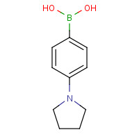 229009-41-0 4-(Pyrrolidino)phenylboronic acid chemical structure