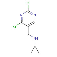 1289388-21-1 N-[(2,4-Dichloro-5-pyrimidinyl)methyl]cyclopropanamine chemical structure