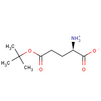 45125-00-6 2R)-2-Ammonio-5-[(2-methyl-2-propanyl)oxy]-5-oxopentanoate chemical structure
