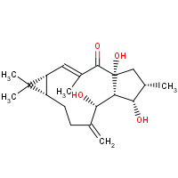 34420-19-4 (1aR,2E,4aR,6S,7S,7aR,8R,11aS)-4a,7,8-Trihydroxy-1,1,3,6-tetramethyl-9-methylene-1,1a,4a,5,6,7,7a,8,9,10,11,11a-dodecahydro-4H-cyclopenta[a]cyclopropa[f][11]annulen-4-one chemical structure
