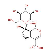 5945-50-6 (1S,4aS,7R,7aS)-1-(b-D-Glucopyranosyloxy)-7-hydroxy-7-(hydroxymethyl)-1,4a,7,7a-tetrahydrocyclopenta[c]pyran-4-carboxylic acid chemical structure