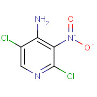 405230-91-3 2,5-dichloro-3-nitropyridin-4-aMine chemical structure