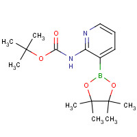 1072944-99-0 2-TERT-BUTYLOXYCARBONYLAMINOPYRIDINE-3-BORONIC ACID PINACOL ESTER chemical structure