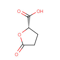 54848-33-8 (2S)-5-Oxotetrahydro-2-furancarboxylic acid chemical structure