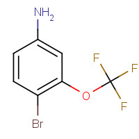 116369-25-6 4-BROMO-3-TRIFLUOROMETHOXY-PHENYLAMINE chemical structure