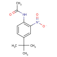 40655-37-6 N-[4-(1,1-dimethylethyl)-2-nitrophenyl]acetamide chemical structure