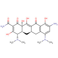 149934-20-3 (4S,4aS,5aR,12aS)-9-Amino-4,7-bis(dimethylamino)-3,10,12,12a-tetrahydroxy-1,11-dioxo-1,4,4a,5,5a,6,11,12a-octahydro-2-tetracenecarboxamide chemical structure