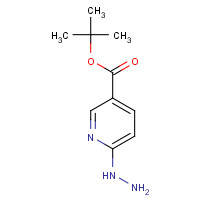 163213-19-2 2-Methyl-2-propanyl 6-hydrazinonicotinate chemical structure