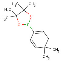 871333-97-0 2-(4,4-Dimethyl-1,5-cyclohexadien-1-yl)-4,4,5,5-tetramethyl-1,3,2-dioxaborolane chemical structure