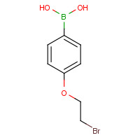 913836-06-3 [4-(2-Bromoethoxy)phenyl]boronic acid chemical structure