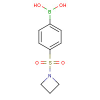 871329-68-9 [4-(1-Azetidinylsulfonyl)phenyl]boronic acid chemical structure