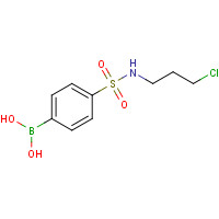 874219-48-4 {4-[(3-Chloropropyl)sulfamoyl]phenyl}boronic acid chemical structure