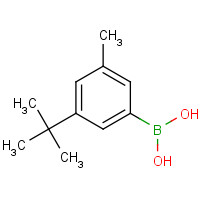 193905-93-0 [3-Methyl-5-(2-methyl-2-propanyl)phenyl]boronic acid chemical structure