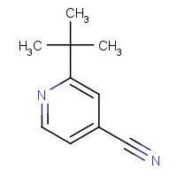 33538-09-9 2-tert-butylisonicotinonitrile chemical structure