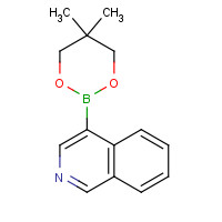 844891-01-6 4-(5,5-Dimethyl-1,3,2-dioxaborinan-2-yl)isoquinoline chemical structure
