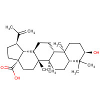 38736-77-5 3-epi-betulinic acid chemical structure