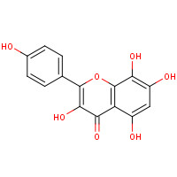527-95-7 Herbacetin chemical structure