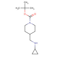 877859-58-0 2-Methyl-2-propanyl 4-[(cyclopropylamino)methyl]-1-piperidinecarboxylate chemical structure