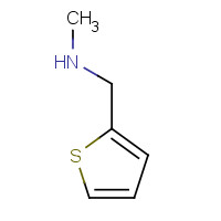 7404-67-3 N-Methyl-1-(2-thienyl)methanamine chemical structure