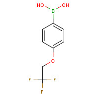 886536-37-4 [4-(2,2,2-Trifluoroethoxy)phenyl]boronic acid chemical structure