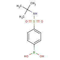 208516-15-8 {4-[(2-Methyl-2-propanyl)sulfamoyl]phenyl}boronic acid chemical structure