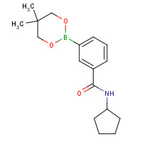 850567-45-2 N-Cyclopentyl-3-(5,5-dimethyl-1,3,2-dioxaborinan-2-yl)benzamide chemical structure
