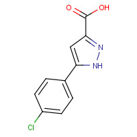 54006-63-2 3-(4-Chlorophenyl)-1H-pyrazole-5-carboxylic acid chemical structure