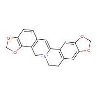 1198398-71-8 Coptisine chemical structure