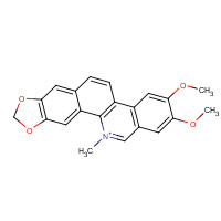 13063-04-2 2,3-Dimethoxy-12-methyl[1,3]benzodioxolo[5,6-c]phenanthridin-12-ium chemical structure