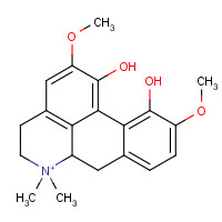 6681-18-1 1,11-Dihydroxy-2,10-dimethoxy-6,6-dimethyl-5,6,6a,7-tetrahydro-4H-dibenzo[de,g]quinolinium chemical structure