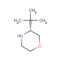 1286768-66-8 (R)-3-(tert-butyl)morpholine chemical structure