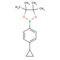 1219741-94-2 2-(4-Cyclopropylphenyl)-4,4,5,5-tetramethyl-1,3,2-dioxaborolane chemical structure
