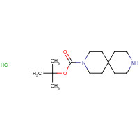 236406-47-6 tert-Butyl-3,9-diazaspiro[5.5]undecan-3-carboxylathydrochlorid(1:1) chemical structure