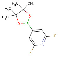 1204333-58-3 2,6-Difluoro-4-(4,4,5,5-tetramethyl-1,3,2-dioxaborolan-2-yl)pyridine chemical structure
