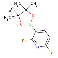 1072945-00-6 2,6-Difluoro-3-(4,4,5,5-tetramethyl-1,3,2-dioxaborolan-2-yl)pyridine chemical structure