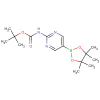 1032758-88-5 tert-Butyl [5-(4,4,5,5-tetramethyl-1,3,2-dioxaborolan-2-yl)pyrimidin-2-yl]carbamate chemical structure