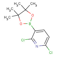 1073371-78-4 2,6-Dichloro-3-(4,4,5,5-tetramethyl-1,3,2-dioxaborolan-2-yl)pyridine chemical structure